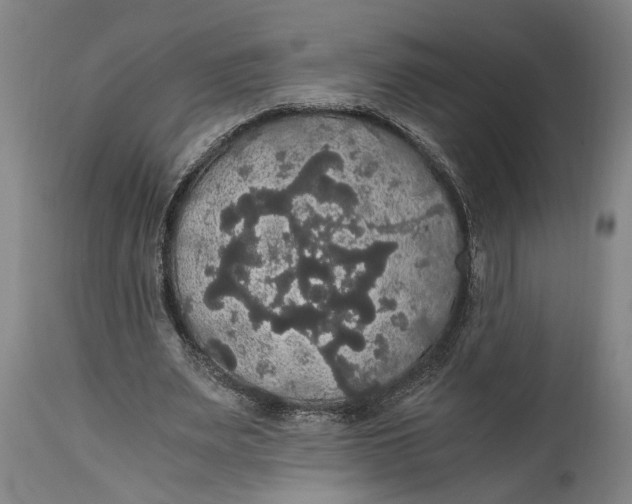 X0000114640487200911101301