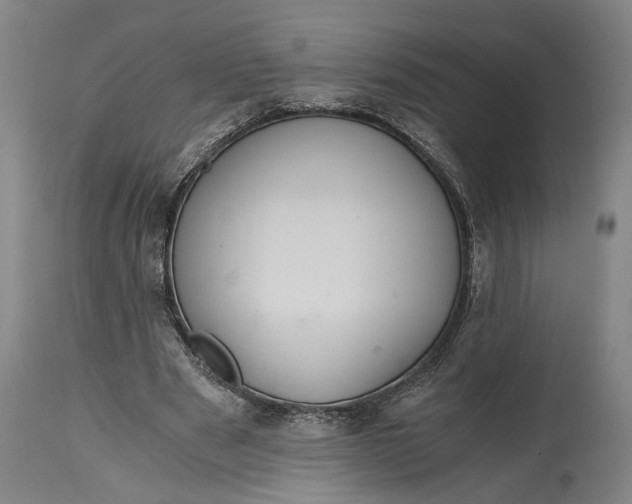 X0000114640489200911101301