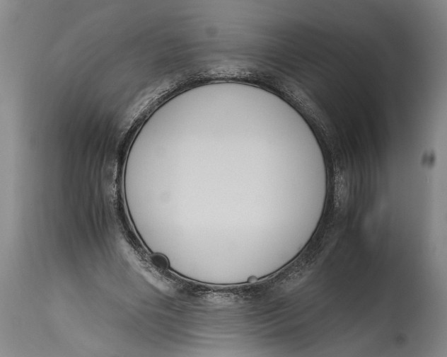X0000114640490200911101301