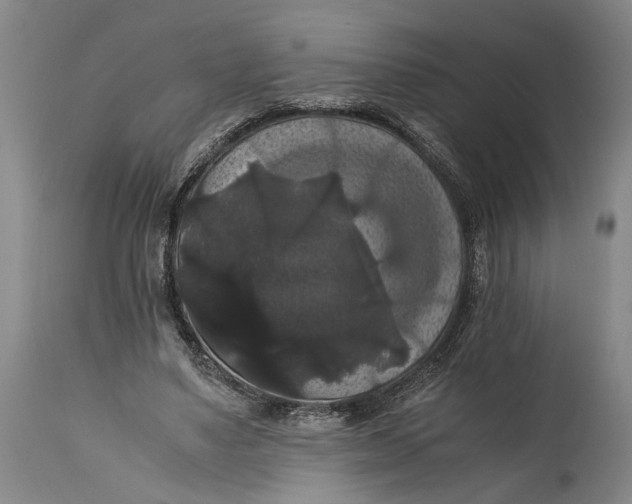X0000114640491200911101301
