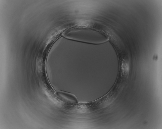 X0000114640492200911101301