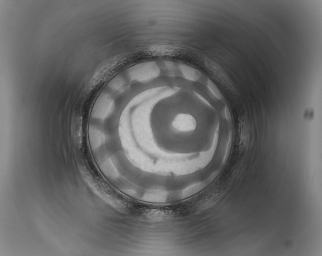 X0000114640494200911101301