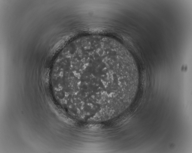 X0000114640495200911101301