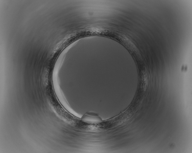 X0000114640496200911101301
