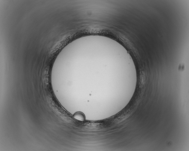 X0000114640497200911101301