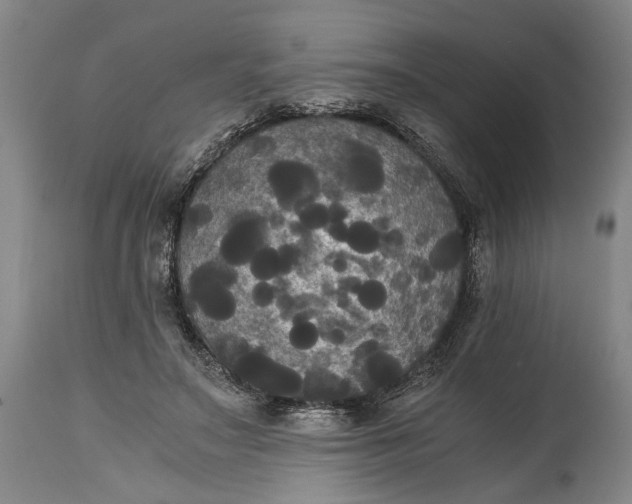 X0000114640499200911101301