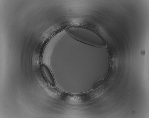 X0000114640500200911101301