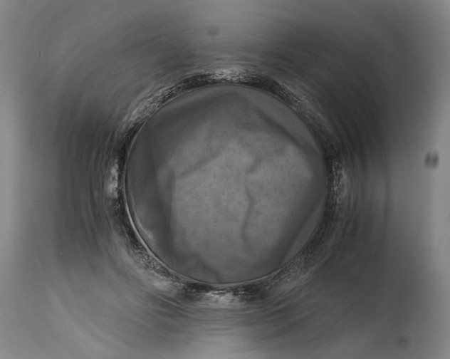 X0000114640502200911101301