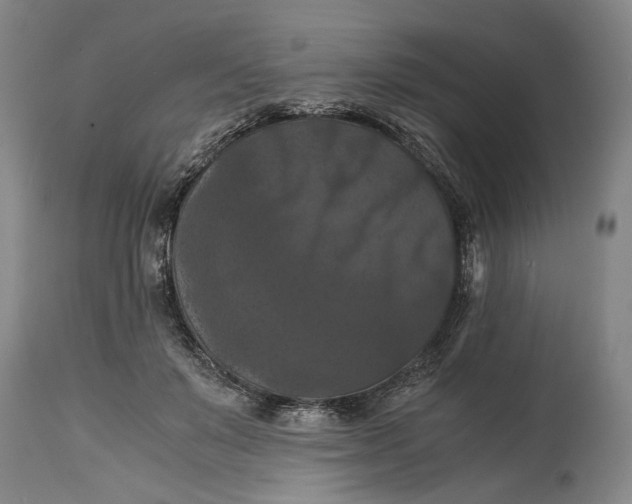 X0000114640503200911101301