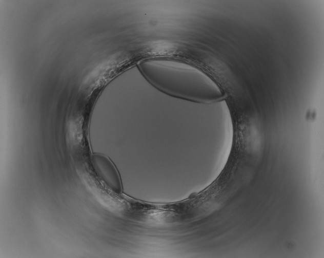 X0000114640504200911101301