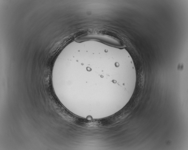 X0000114640505200911101301