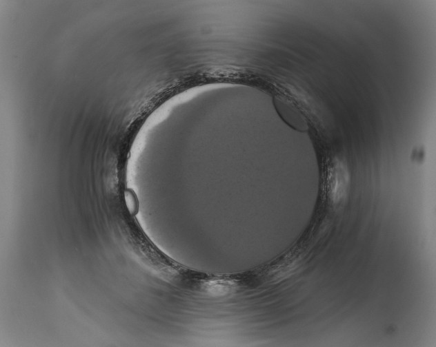X0000114640508200911101301