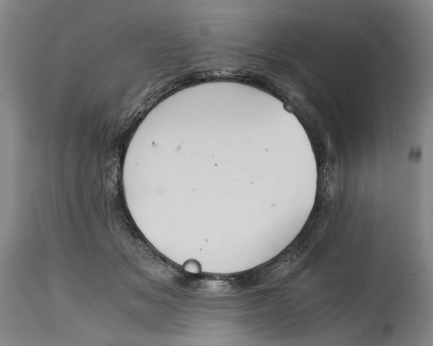 X0000114640509200911101301