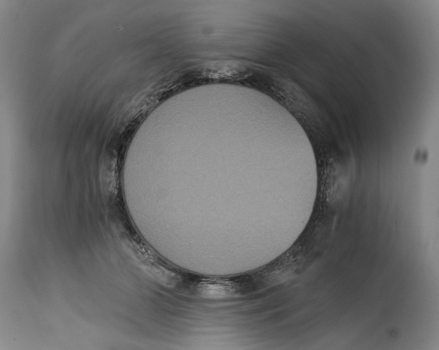 X0000114640510200911101301