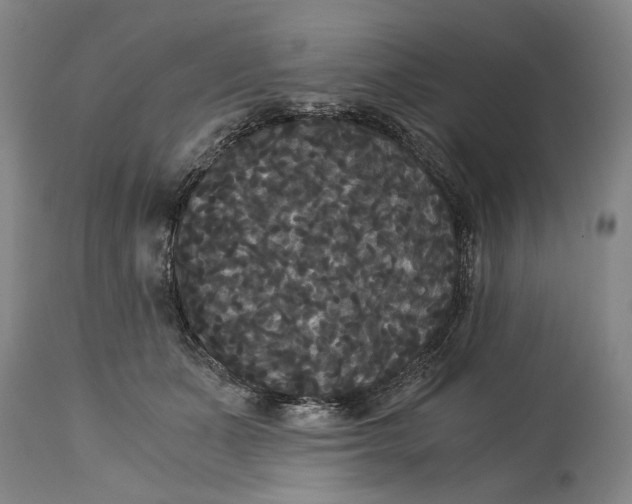 X0000114640511200911101301