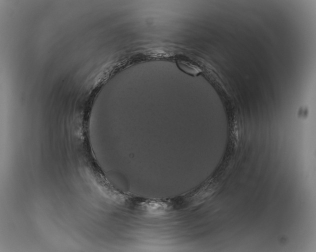 X0000114640512200911101301