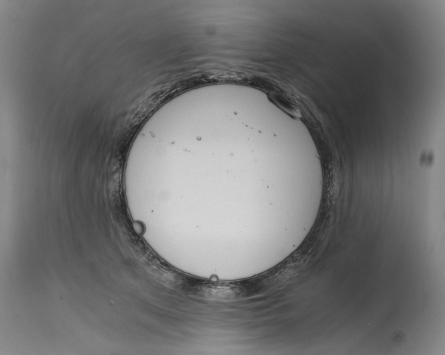 X0000114640513200911101301