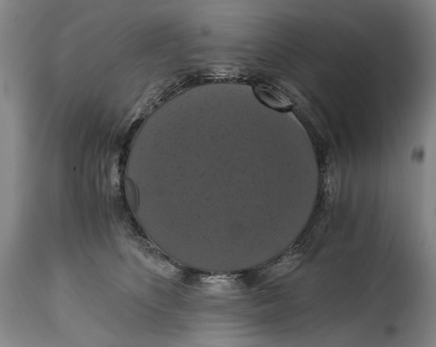X0000114640516200911101301