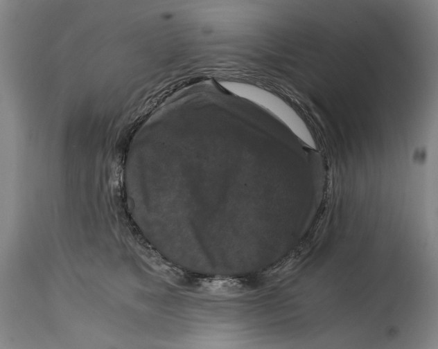 X0000114640517200911101301