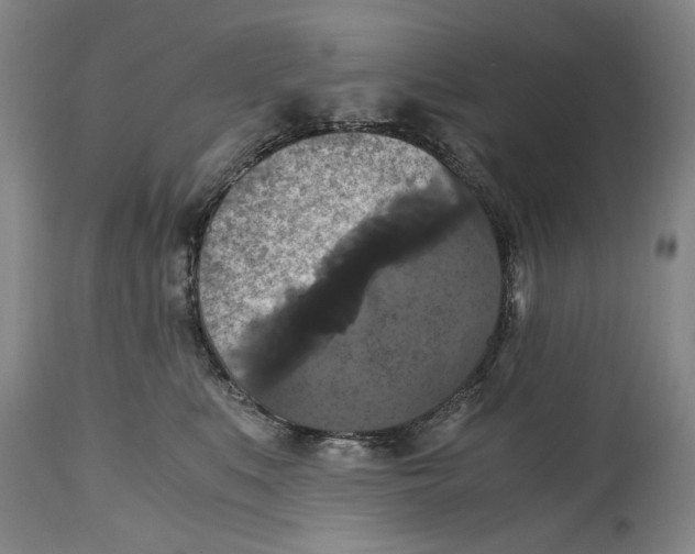 X0000114640519200911101301