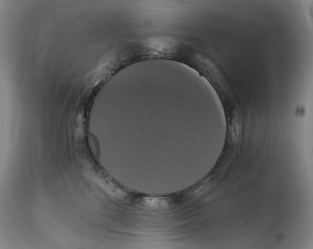 X0000114640520200911101301