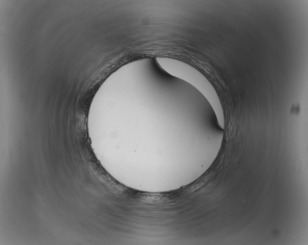 X0000114640521200911101301