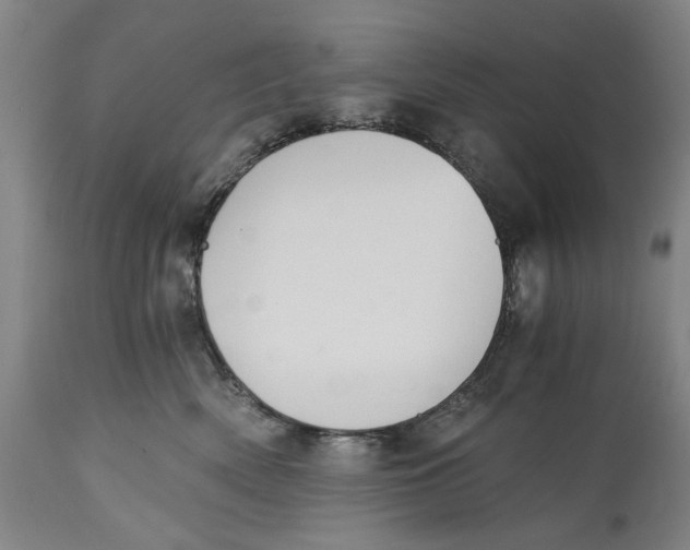 X0000114640522200911101301