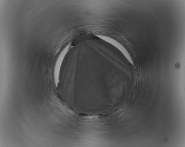 X0000114640524200911101301