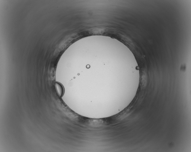 X0000114640525200911101301