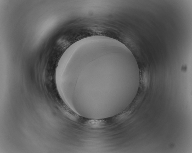 X0000114640526200911101301