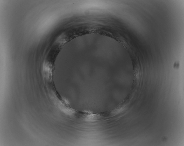 X0000114640527200911101301