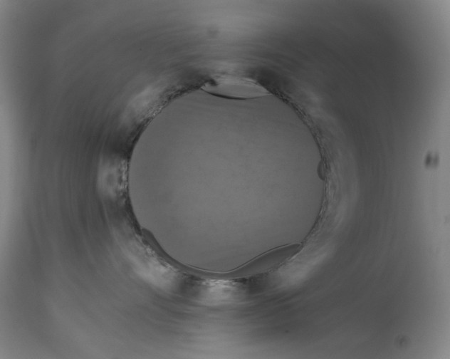 X0000114640528200911101301