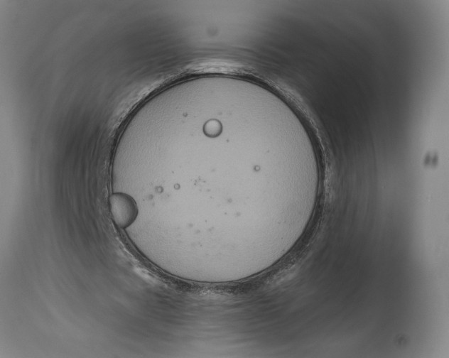 X0000114640529200911101300