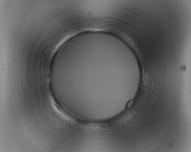 X0000114640530200911101300