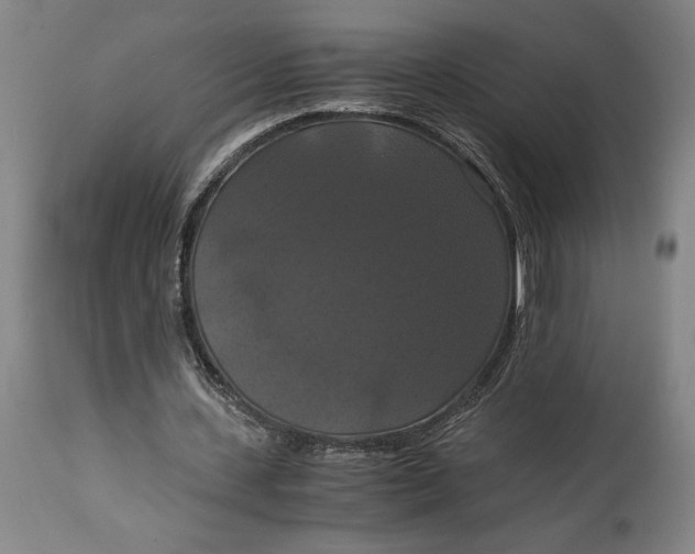 X0000114640531200911101300