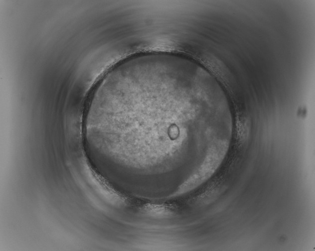 X0000114640534200911101300