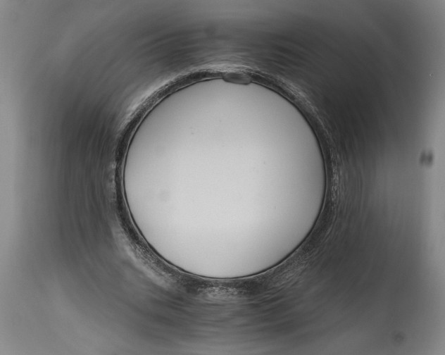X0000114640535200911101300