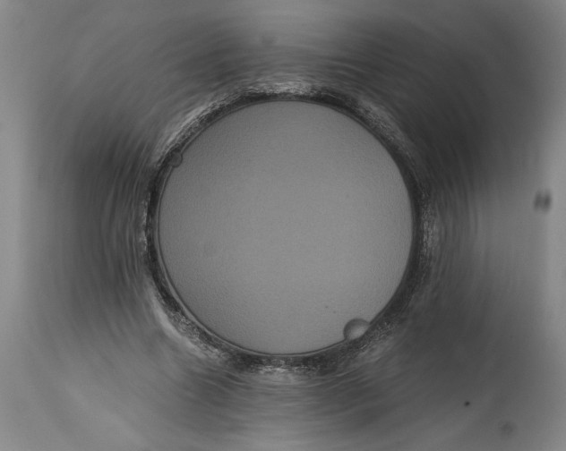 X0000114640538200911101300
