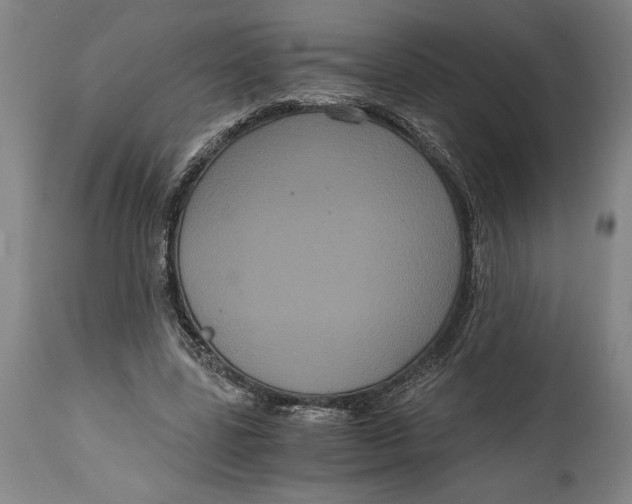 X0000114640539200911101300