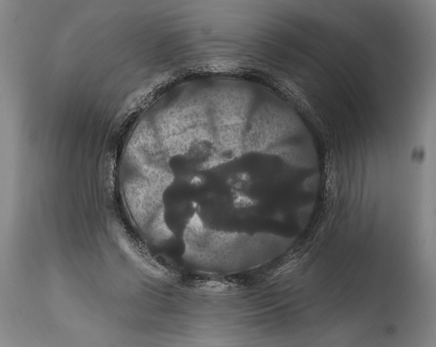 X0000114640542200911101300