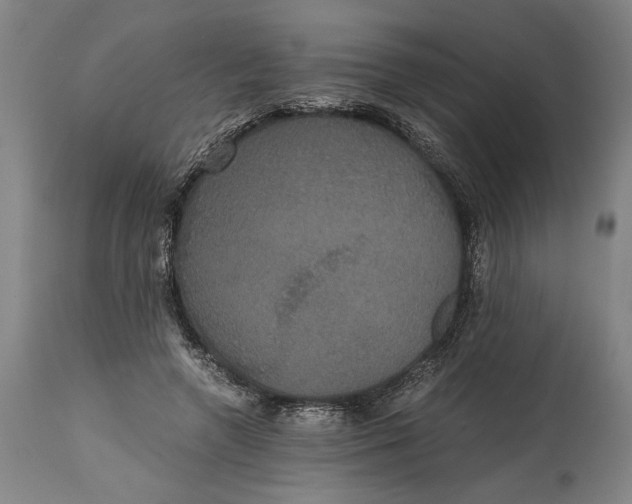 X0000114640546200911101300