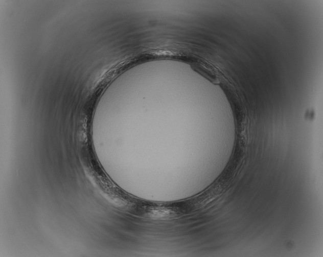 X0000114640547200911101300