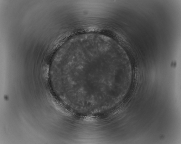 X0000114640550200911101300