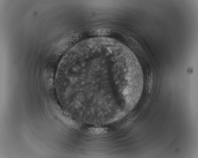 X0000114640553200911101300