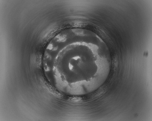 X0000114640554200911101300