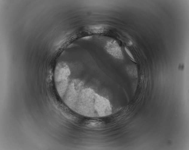 X0000114640555200911101300