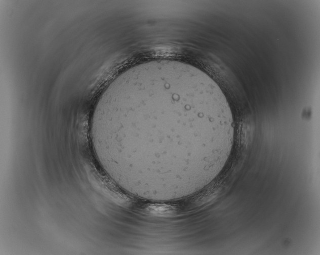 X0000114640557200911101300