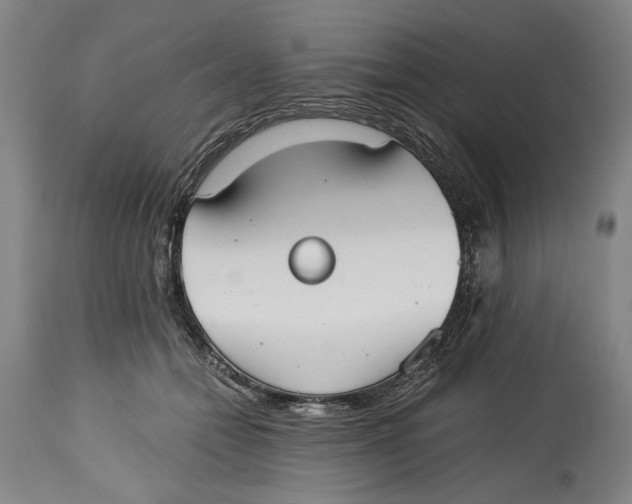X0000114640558200911101301