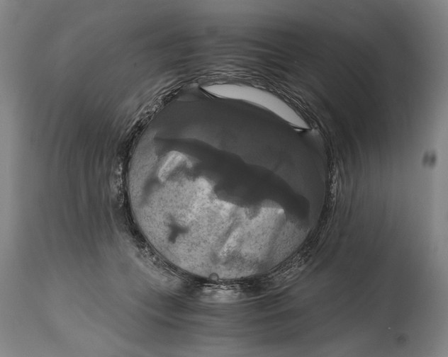 X0000114640559200911101301