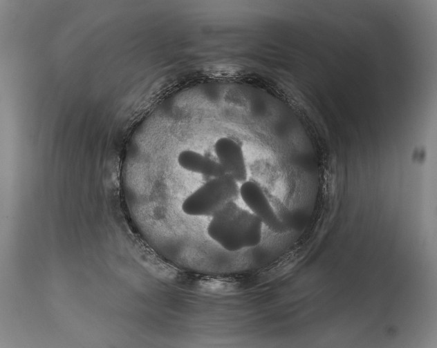 X0000114640561200911101301